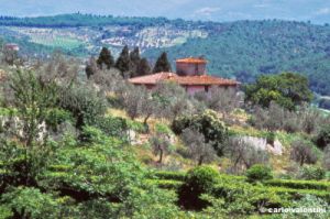 san_donato_collina620_36