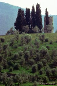 san_donato_collina652_25