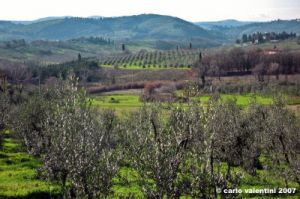 san_donato_in_collina