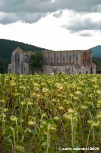 san_galgano02