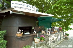 san_gimignano069