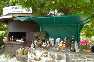 san_gimignano071