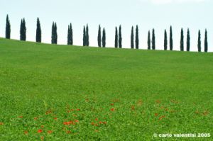 san_quirico_orcia02