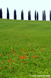 san_quirico_orcia04