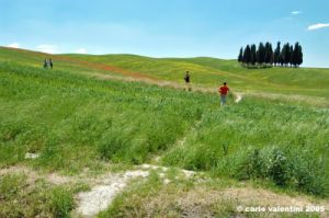 san_quirico_orcia08