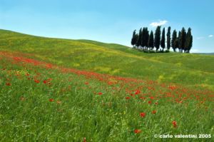 san_quirico_orcia11