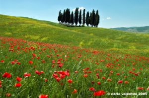 san_quirico_orcia14