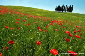 san_quirico_orcia20