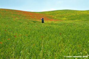 san_quirico_orcia24