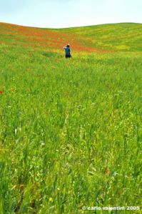 san_quirico_orcia25