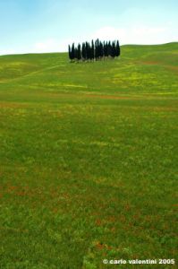 san_quirico_orcia36