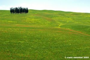 san_quirico_orcia37