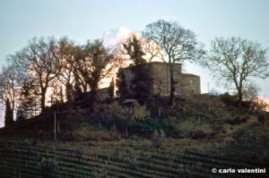 santa_brigida799_50