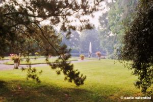 segromiglio366_42