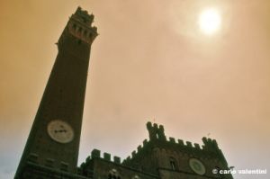 siena289_42