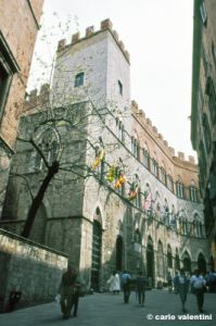 siena289_46