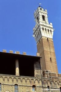 siena881_08