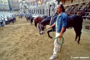 siena_palio876_46