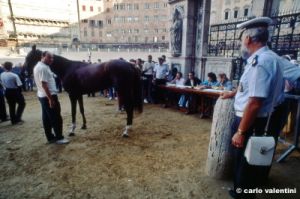 siena_palio877_02