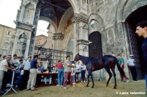 siena_palio877_06