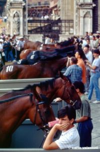 siena_palio877_17