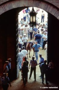 siena_palio877_27