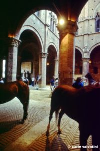 siena_palio877_31