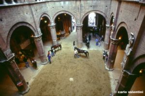 siena_palio877_38