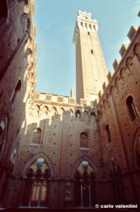 siena_palio877_45