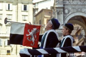 siena_palio878_50