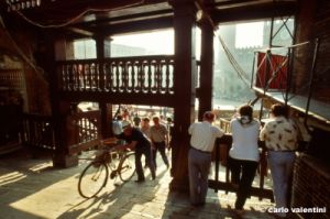 siena_palio879_45