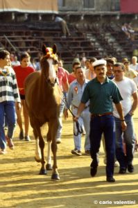 siena_palio880_07