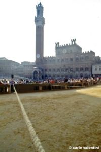 siena_palio880_12
