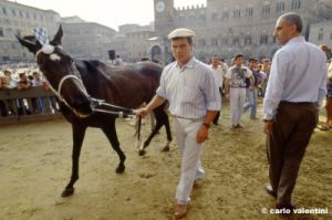 siena_palio880_16