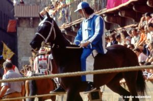 siena_palio880_25