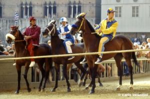 siena_palio880_33