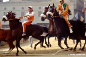 siena_palio880_34