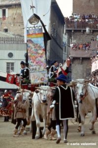 siena_palio882_43
