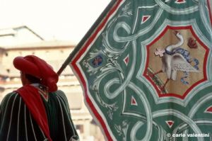 siena_palio883_06