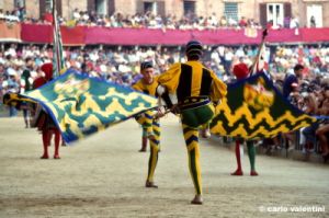siena_palio883_08