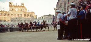 siena_palio883_18