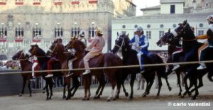 siena_palio883_22