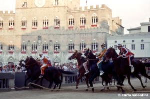 siena_palio883_25