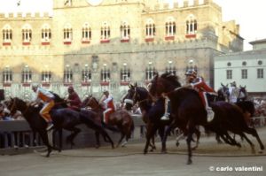 siena_palio883_26