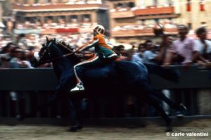siena_palio883_36