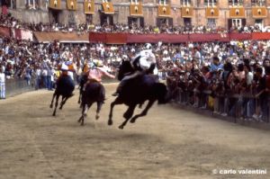 siena_palio883_39
