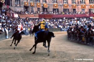 siena_palio883_41