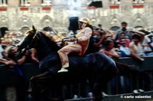 siena_palio883_43