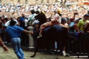 siena_palio883_44