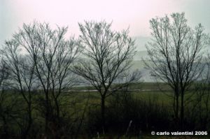 sorano51